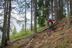 3-Laender-Enduro-Trails-Trail-3