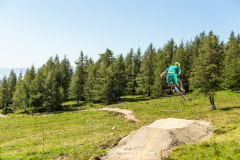 Bikepark-Aflenz-Jump