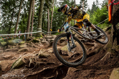 Bikepark-Bad-Wildbad-Downhill