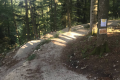 Bikepark-Burladingen-Trail-2
