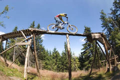 Bikepark-Geisskopf-Trail-2
