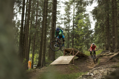 Bikepark-Geisskopf-Trail