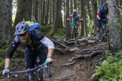 Bikepark-Kirchberg-Gaisberg-Trail-3