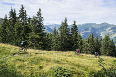 Bikepark-Kirchberg-Gaisberg-Trail-4