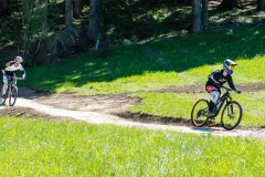 Bikepark-Königsberg-Hollenstein-Trail