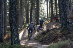 Bikepark-Lienz-Trail-3