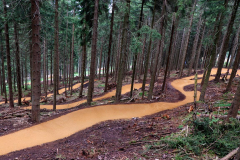 Bikepark-Oberhof-Family-Flow-Trail-2
