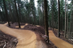 Bikepark-Oberhof-Family-Flow-Trail