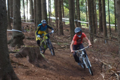 Bikepark-St.-Andreasberg-Trail