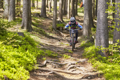 Bikepark-Steinach-Downhill