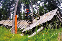 Bikepark-Steinach-Wallride