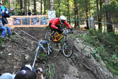 Bikepark-Todtnau-Downhill-2