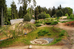 Bikepark-Trippstadt-2
