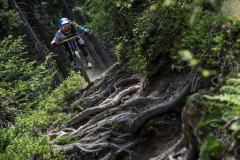 Bikepark-Wagrain-Trail-2
