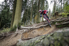 Bikepark-Winterberg-Downhill-2