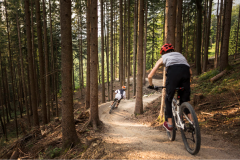 Bikepark-Wurbauerkogel-Trail-2