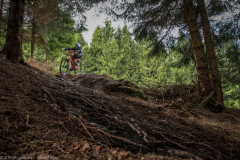Bikepark-Schulenberg-Downhill-2
