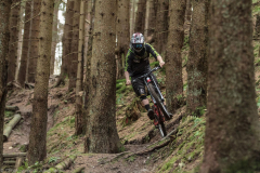 Bikepark-Schulenberg-Downhill