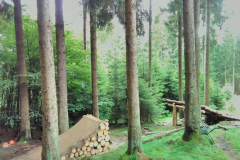 Bikepark-Schulenberg-Sprung