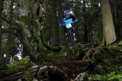Schoeckl-Trailarea-Trail