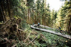 Singletrail-Harschbichl-Trail-2
