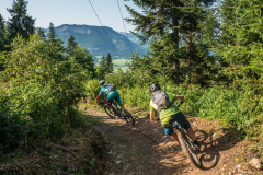 Singletrail-Harschbichl-Trail-4