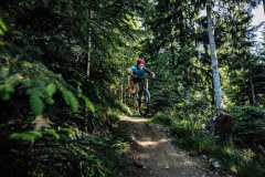 Singletrail-Harschbichl-Trail