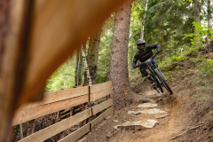 Wexl-Trails-Downhill-Line